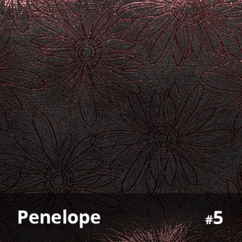 Penelope 5